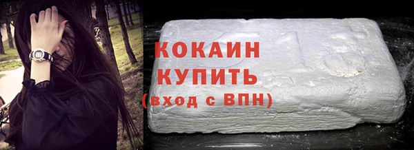 прущие грибы Заводоуковск
