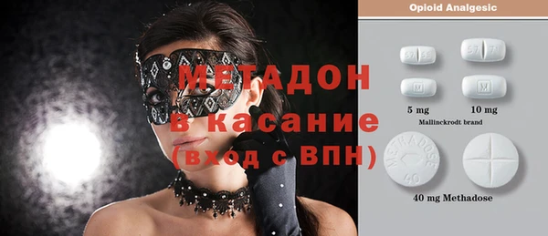 прущие грибы Заводоуковск