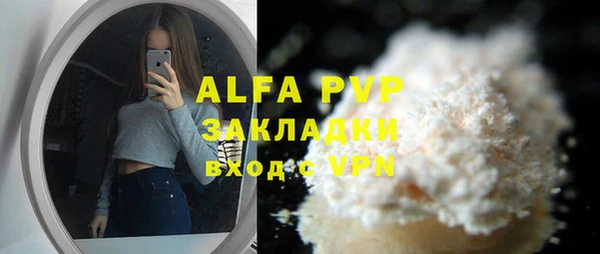 прущие грибы Заводоуковск