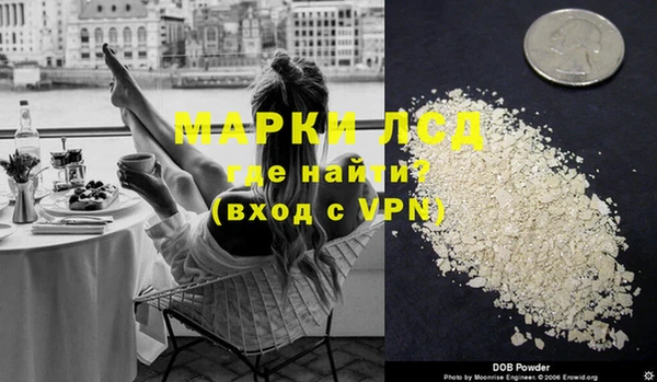 прущие грибы Заводоуковск