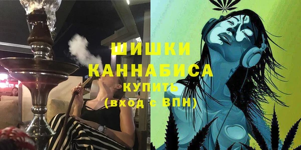 прущие грибы Заводоуковск