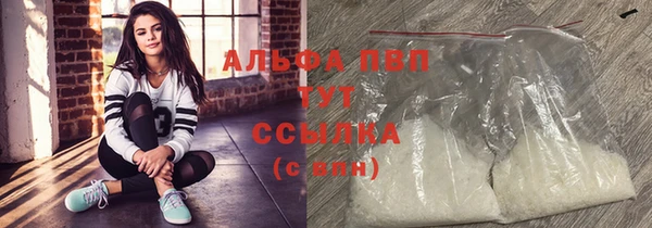 прущие грибы Заводоуковск