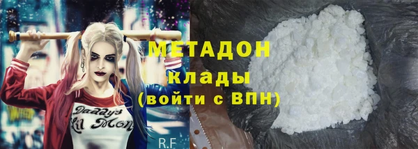 прущие грибы Заводоуковск
