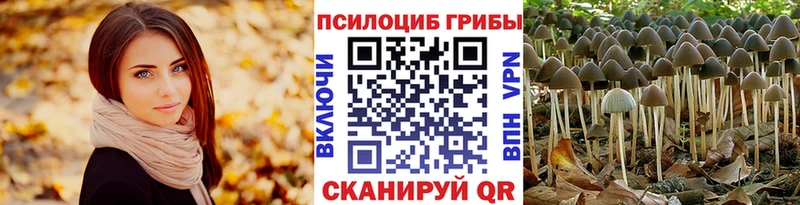 Галлюциногенные грибы ЛСД  купить  сайты  Кадников 
