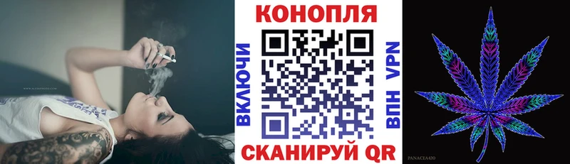 Шишки марихуана гибрид  Кадников 